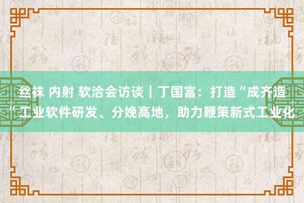 丝袜 内射 软洽会访谈｜丁国富：打造“成齐造”工业软件研发、分娩高地，助力鞭策新式工业化