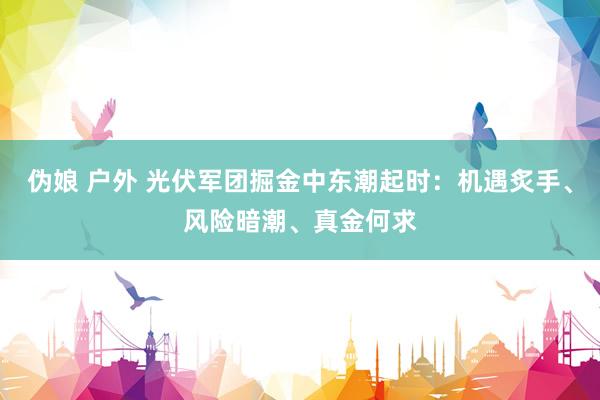 伪娘 户外 光伏军团掘金中东潮起时：机遇炙手、风险暗潮、真金何求