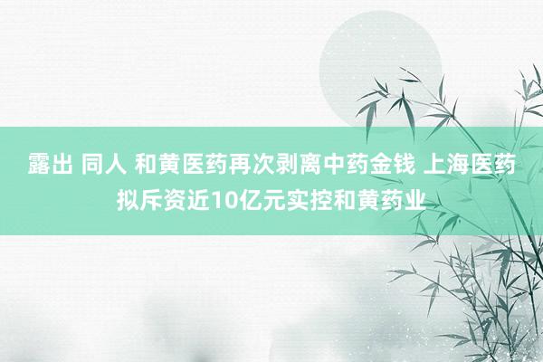 露出 同人 和黄医药再次剥离中药金钱 上海医药拟斥资近10亿元实控和黄药业