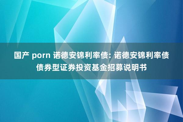 国产 porn 诺德安锦利率债: 诺德安锦利率债债券型证券投资基金招募说明书