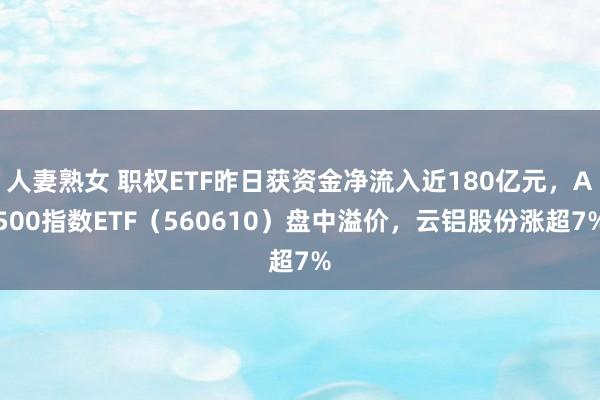 人妻熟女 职权ETF昨日获资金净流入近180亿元，A500指数ETF（560610）盘中溢价，云铝股份涨超7%