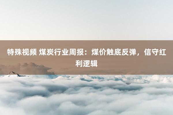 特殊视频 煤炭行业周报：煤价触底反弹，信守红利逻辑