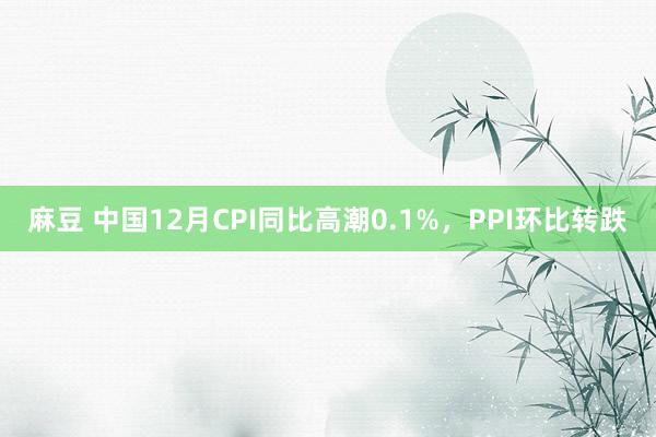 麻豆 中国12月CPI同比高潮0.1%，PPI环比转跌