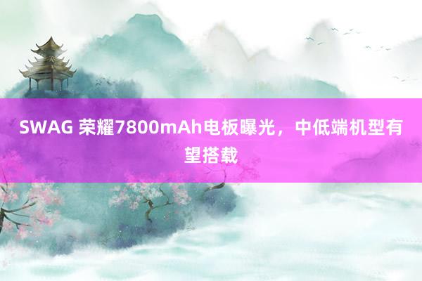 SWAG 荣耀7800mAh电板曝光，中低端机型有望搭载