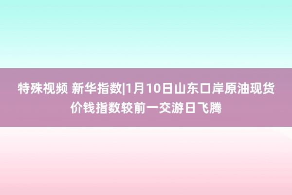 特殊视频 新华指数|1月10日山东口岸原油现货价钱指数较前一交游日飞腾