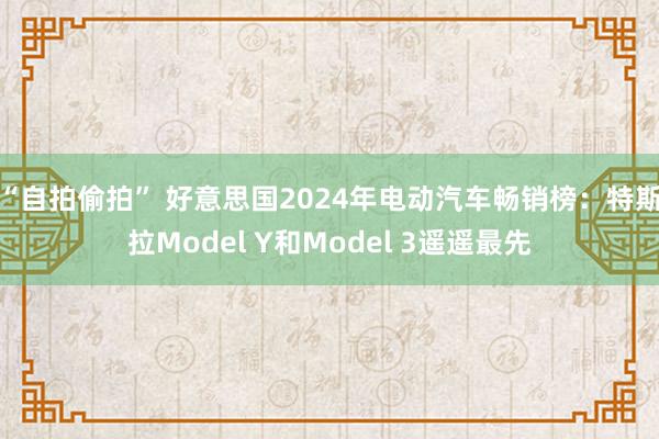 “自拍偷拍” 好意思国2024年电动汽车畅销榜：特斯拉Model Y和Model 3遥遥最先