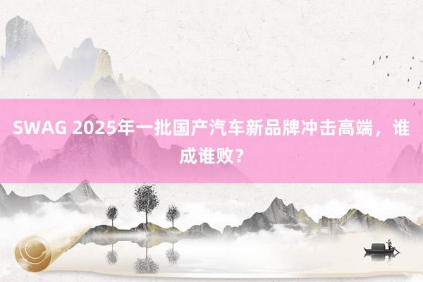 SWAG 2025年一批国产汽车新品牌冲击高端，谁成谁败？