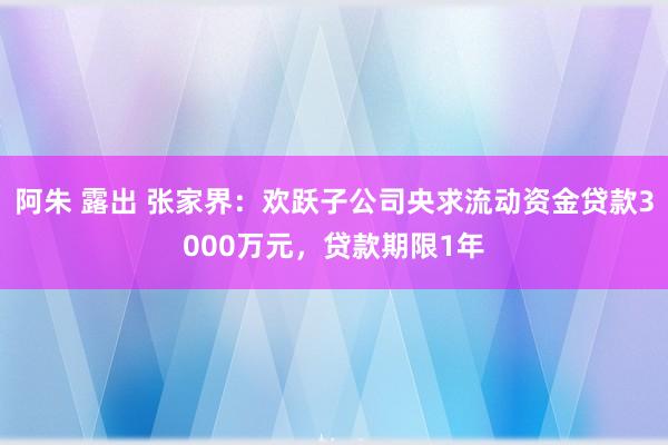 阿朱 露出 张家界：欢跃子公司央求流动资金贷款3000万元，贷款期限1年